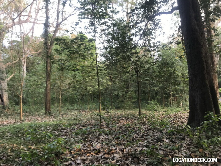 Phu Kae Forest - Saraburi, Thailand Filming Location