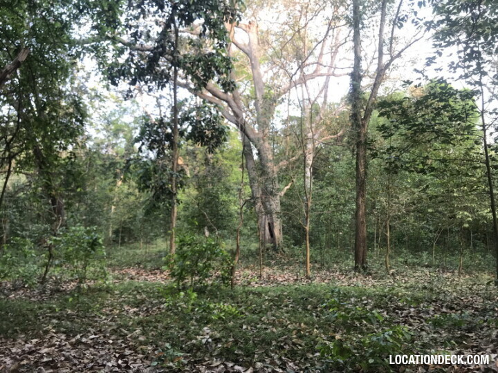 Phu Kae Forest - Saraburi, Thailand Filming Location