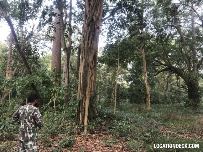 Phu Kae Forest - Saraburi, Thailand Filming Location