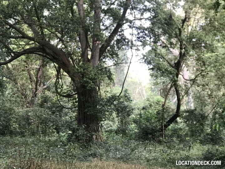 Phu Kae Forest - Saraburi, Thailand Filming Location