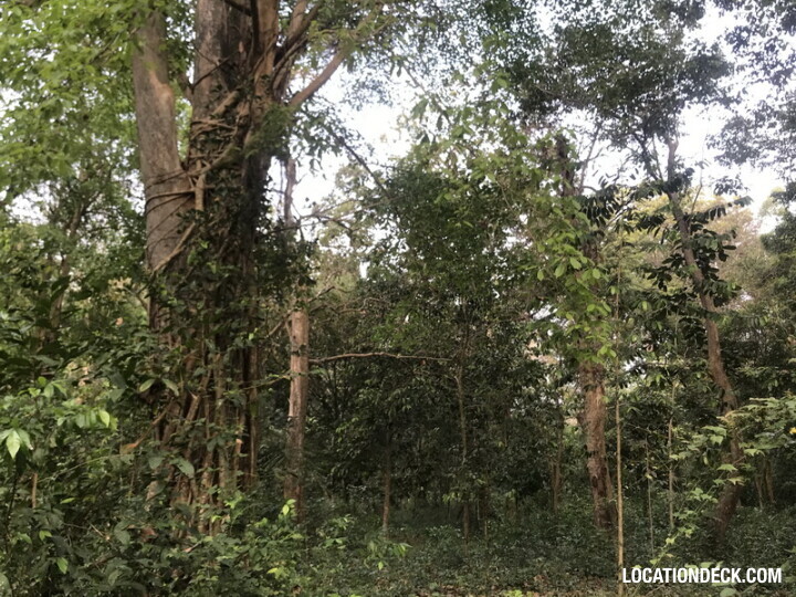 Phu Kae Forest - Saraburi, Thailand Filming Location