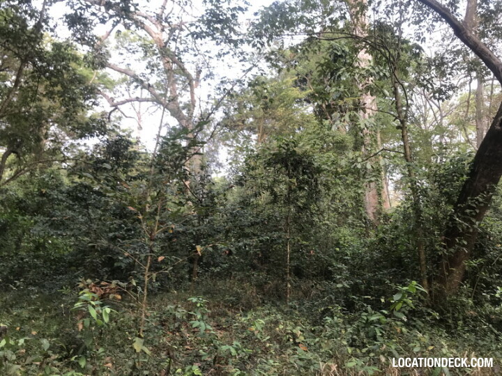 Phu Kae Forest - Saraburi, Thailand Filming Location