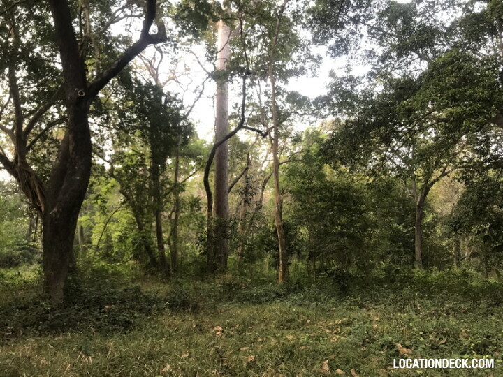 Phu Kae Forest - Saraburi, Thailand Filming Location