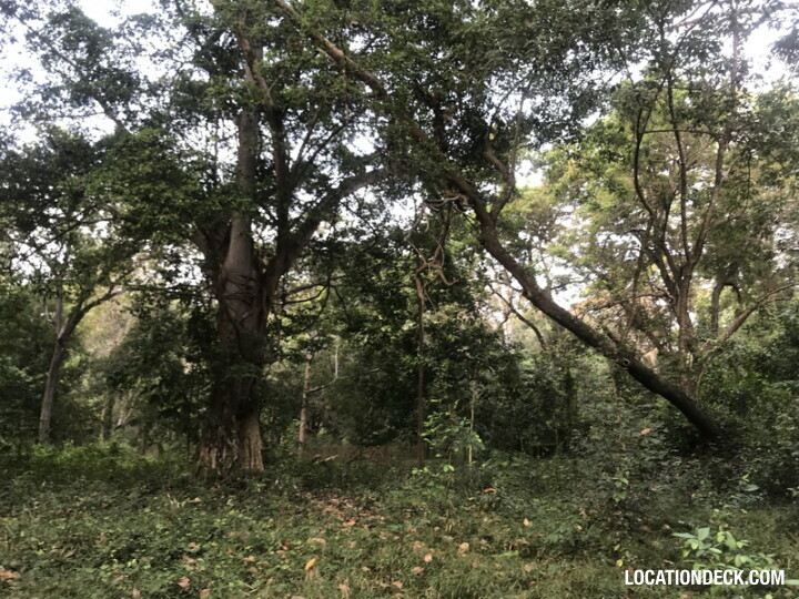 Phu Kae Forest - Saraburi, Thailand Filming Location