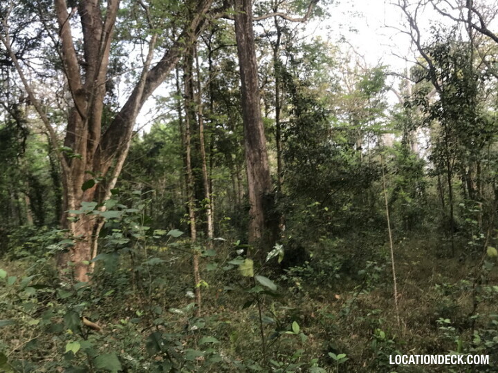 Phu Kae Forest - Saraburi, Thailand Filming Location