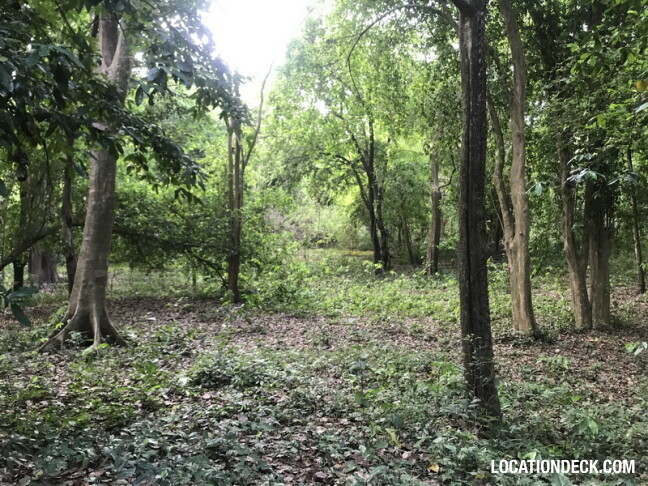 Phu Kae Forest - Saraburi, Thailand Filming Location