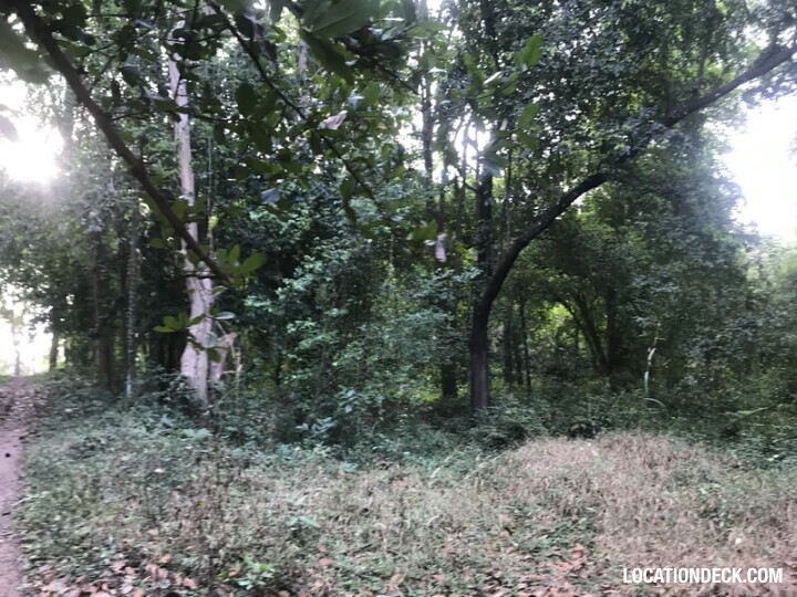 Phu Kae Forest - Saraburi, Thailand Filming Location