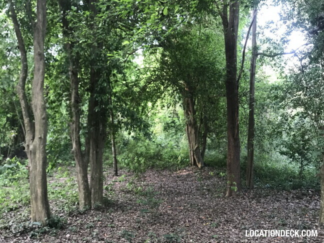 Phu Kae Forest - Saraburi, Thailand Filming Location