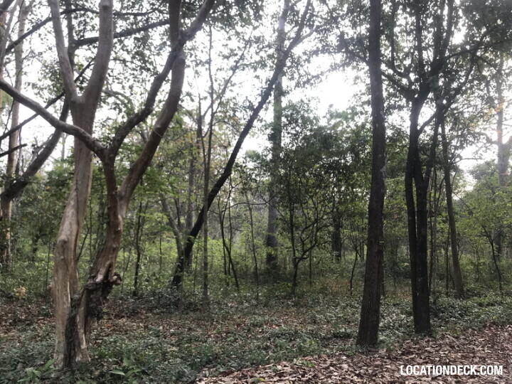 Phu Kae Forest - Saraburi, Thailand Filming Location