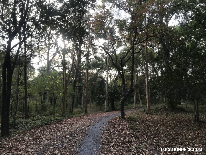 Phu Kae Forest - Saraburi, Thailand Filming Location