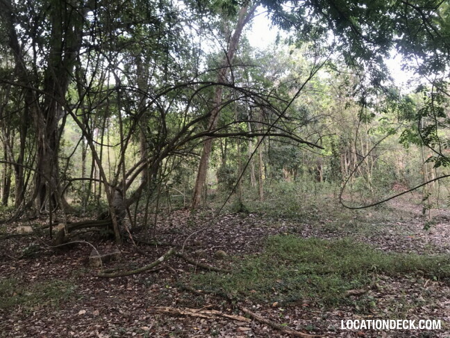 Phu Kae Forest - Saraburi, Thailand Filming Location
