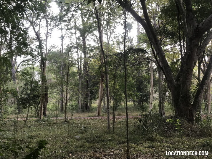 Phu Kae Forest - Saraburi, Thailand Filming Location