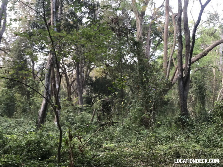 Phu Kae Forest - Saraburi, Thailand Filming Location