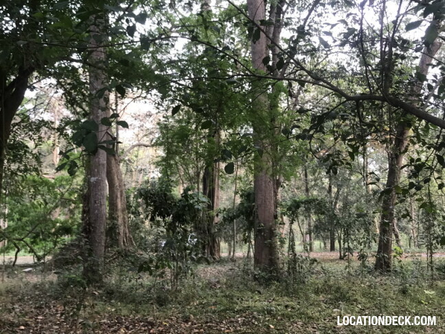 Phu Kae Forest - Saraburi, Thailand Filming Location