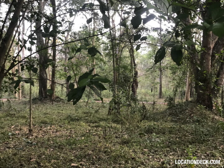 Phu Kae Forest - Saraburi, Thailand Filming Location