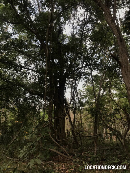 Phu Kae Forest - Saraburi, Thailand Filming Location