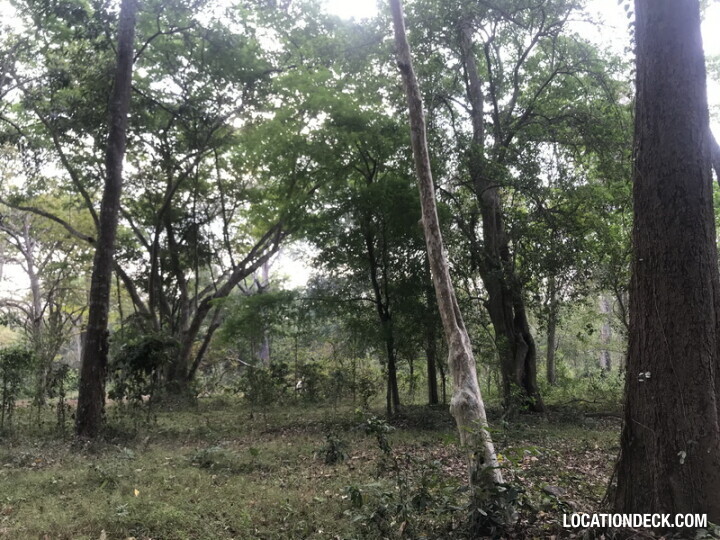 Phu Kae Forest - Saraburi, Thailand Filming Location