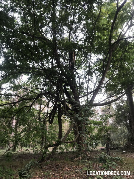 Phu Kae Forest - Saraburi, Thailand Filming Location