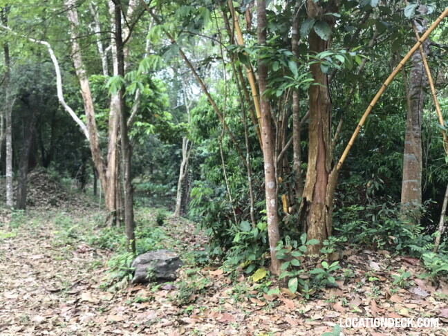 Phu Kae Forest - Saraburi, Thailand Filming Location