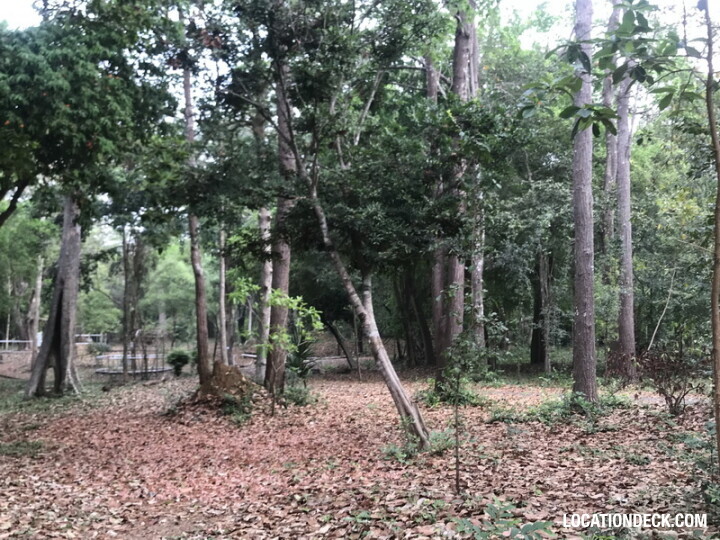 Phu Kae Forest - Saraburi, Thailand Filming Location
