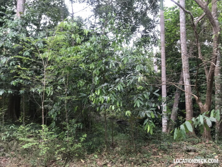 Phu Kae Forest - Saraburi, Thailand Filming Location