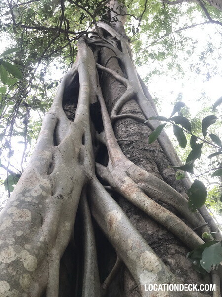 Phu Kae Forest - Saraburi, Thailand Filming Location