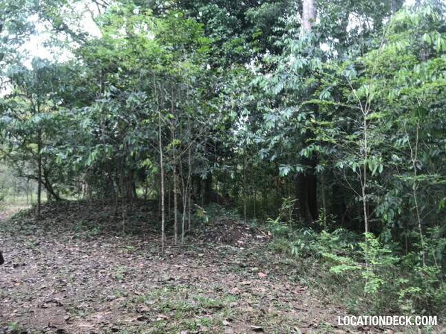 Phu Kae Forest - Saraburi, Thailand Filming Location