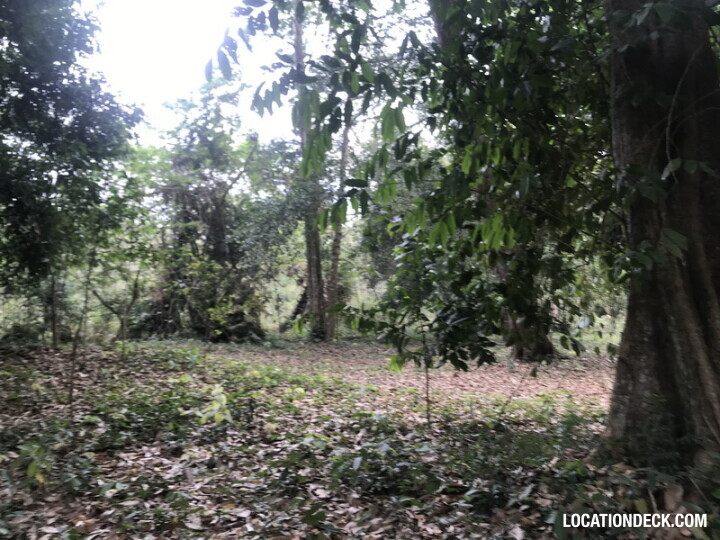 Phu Kae Forest - Saraburi, Thailand Filming Location