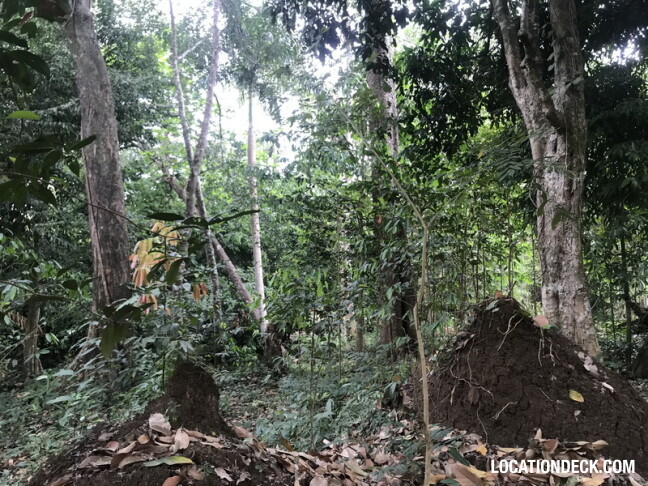 Phu Kae Forest - Saraburi, Thailand Filming Location