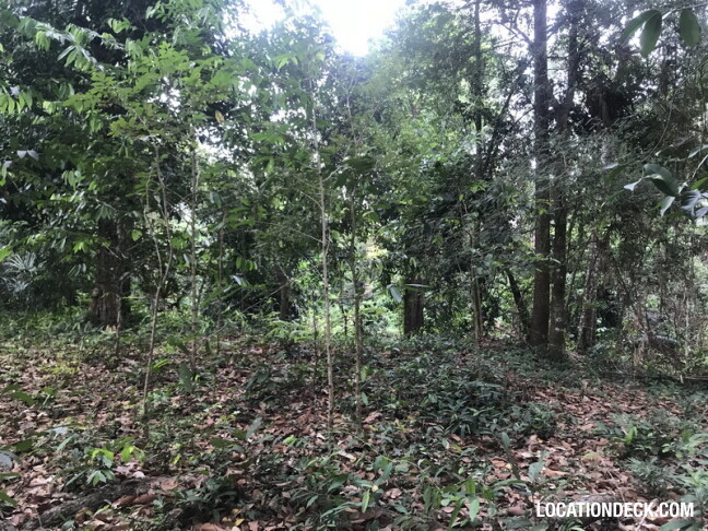 Phu Kae Forest - Saraburi, Thailand Filming Location
