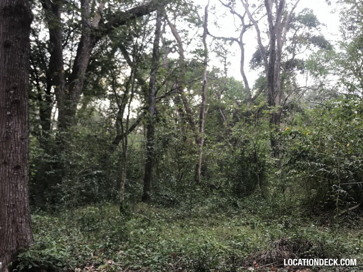 Phu Kae Forest - Saraburi, Thailand Filming Location