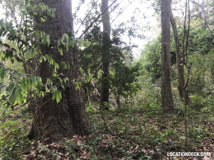 Phu Kae Forest - Saraburi, Thailand Filming Location