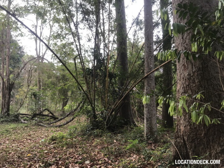 Phu Kae Forest - Saraburi, Thailand Filming Location