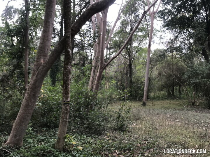 Phu Kae Forest - Saraburi, Thailand Filming Location