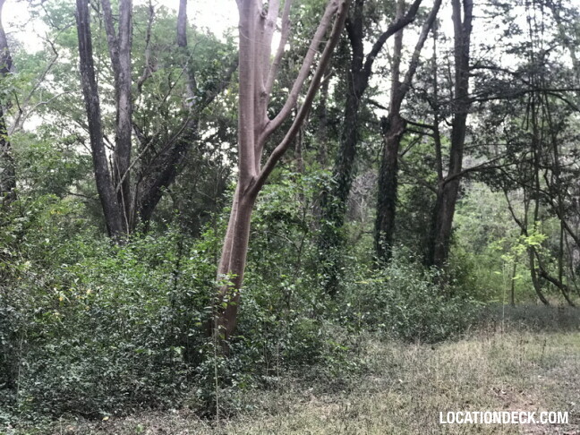 Phu Kae Forest - Saraburi, Thailand Filming Location