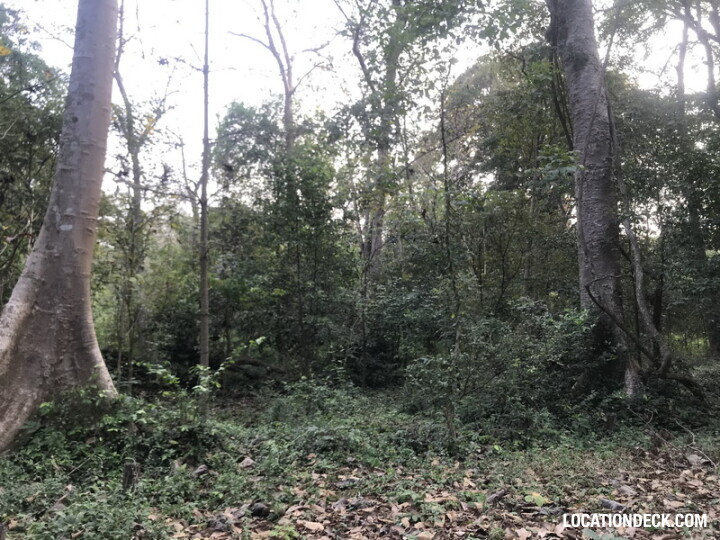 Phu Kae Forest - Saraburi, Thailand Filming Location