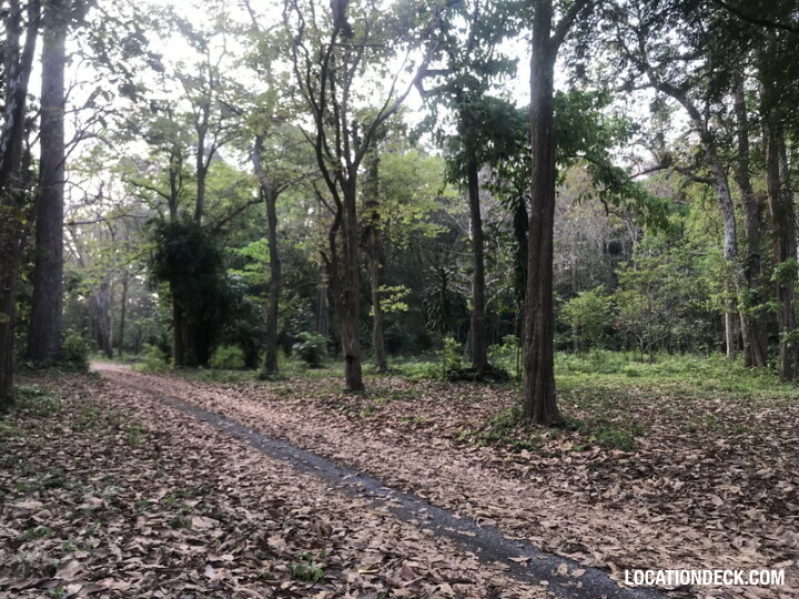 Phu Kae Forest - Saraburi, Thailand Filming Location