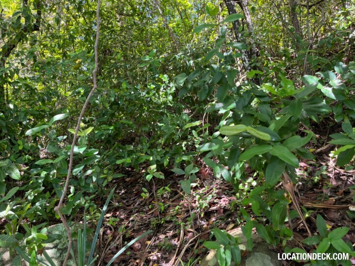 Ko Pling - Phuket, Thailand Filming Location