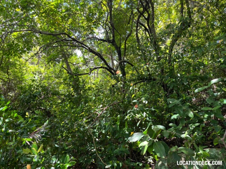 Ko Pling - Phuket, Thailand Filming Location