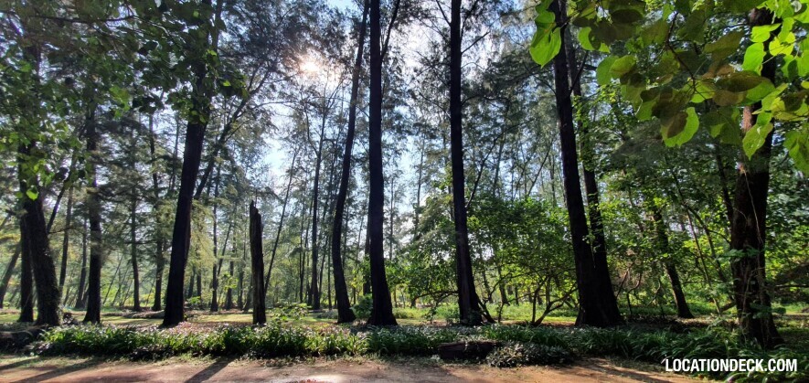 Nai Yang Beach - Phuket, Thailand Filming Location