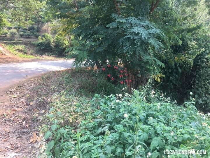 Mai Chan - Chiang Rai, Thailand Filming Location