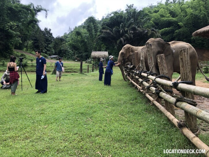 Bamboo Elephant Sanctuary - Kanchanaburi, Thailand Filming Location