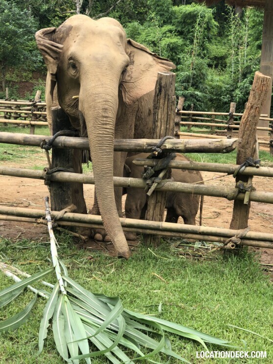 Bamboo Elephant Sanctuary - Kanchanaburi, Thailand Filming Location