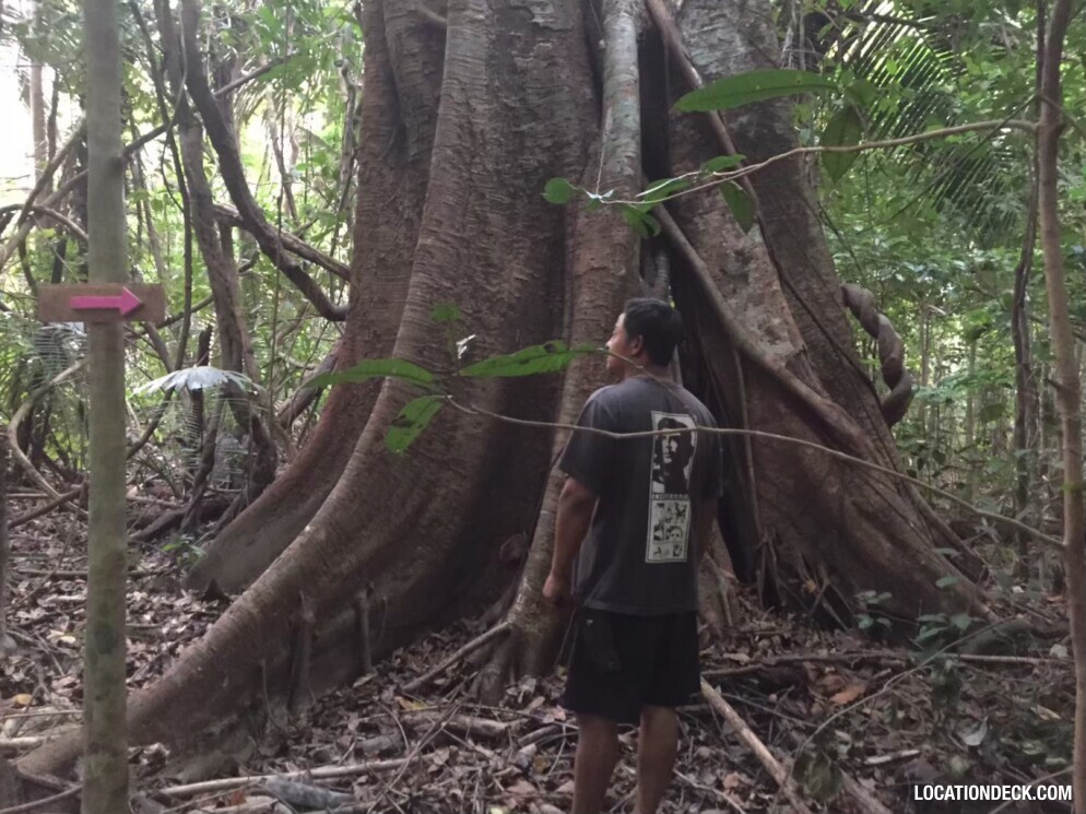 Sahakorn Forest - Kanchanaburi, Thailand Filming Location