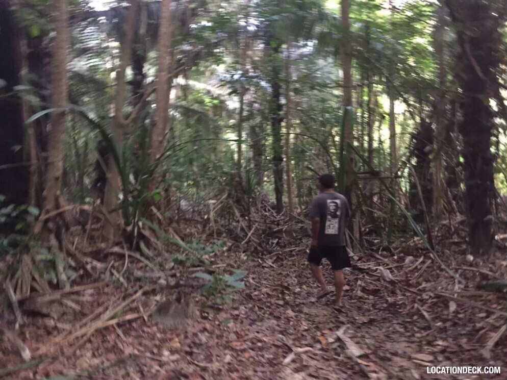 Sahakorn Forest - Kanchanaburi, Thailand Filming Location