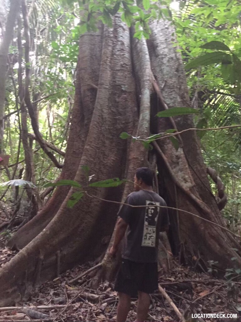 Sahakorn Forest - Kanchanaburi, Thailand Filming Location
