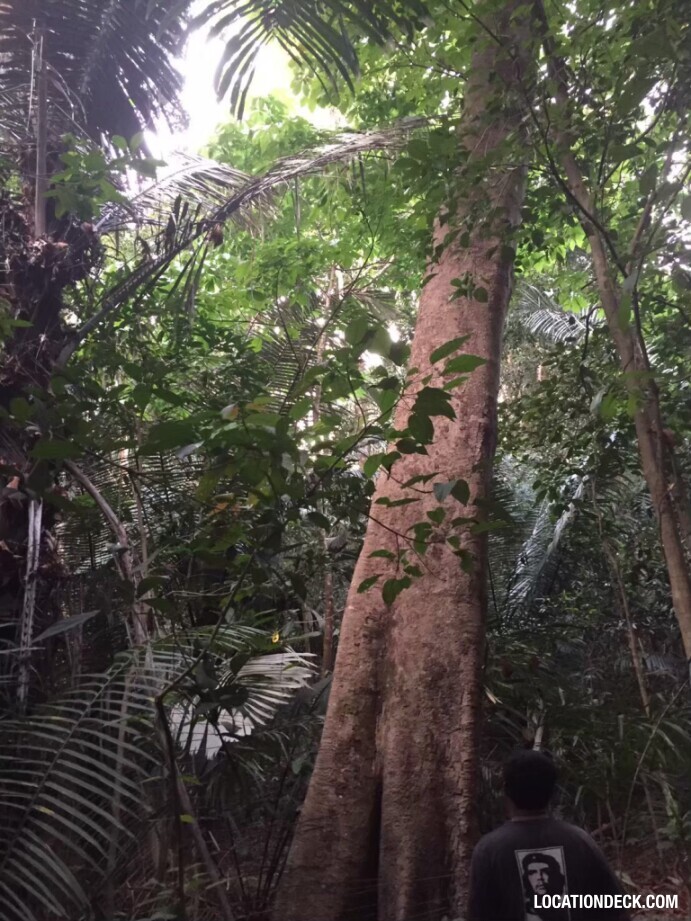 Sahakorn Forest - Kanchanaburi, Thailand Filming Location