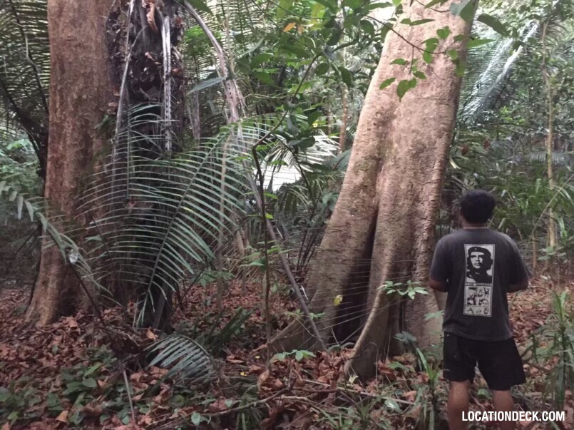 Sahakorn Forest - Kanchanaburi, Thailand Filming Location