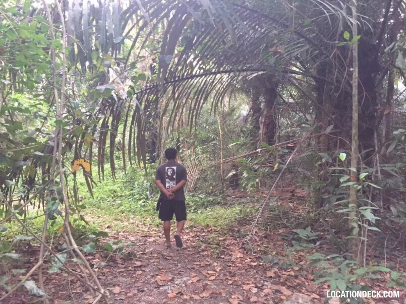 Sahakorn Forest - Kanchanaburi, Thailand Filming Location