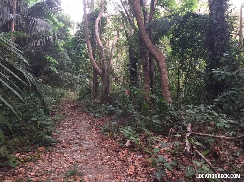 Sahakorn Forest - Kanchanaburi, Thailand Filming Location